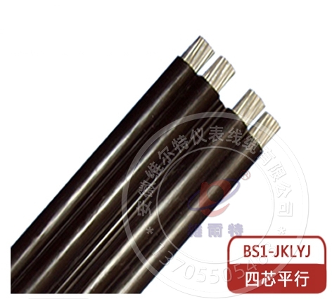 BS1-JKLYJ 四芯平行集束电缆